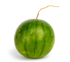 Large ripe watermelon on  isolated background