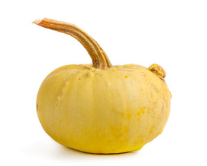 Pumpkin on isolated white background. Fresh, orange