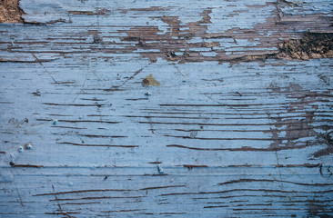 Blue painted wooden texture with scratches. Old rustic and vintage background.