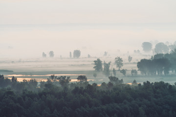Fototapeta premium Mystic view on forest under haze at early morning. Mist among tree silhouettes under predawn sky. Gold light reflection in water. Calm morning atmospheric minimalistic landscape of majestic nature.