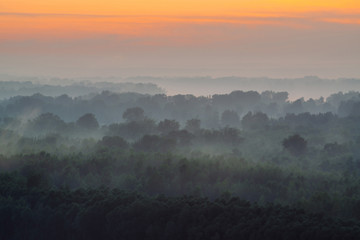 Mystical view from top on forest under haze at early morning. Mist among layers from tree silhouettes in taiga under predawn sky. Calm morning atmospheric minimalistic landscape of majestic nature.