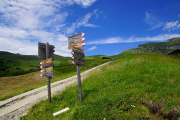 Sign post for trails on a meadow
