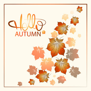 Flying leaves of chestnut and inscription HELLO, AUTUMN. Greeting card, banner, poster, label, emblem. Design for decoration, gift wrapping, printing on fabric, paper or dishes.