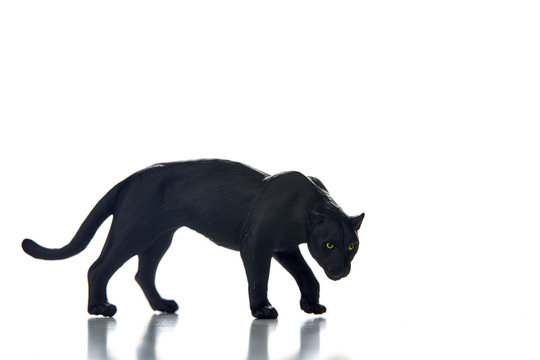 Black Panther Portrait  White Background