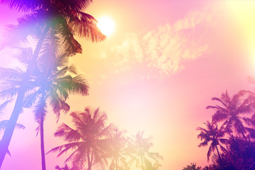 Fototapeta na wymiar Palm sunset silhouettes tropical beach party stylized with colofrul light leaks