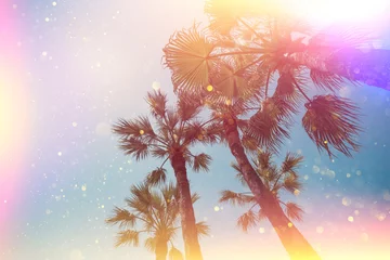 Papier Peint photo Lavable Palmier Tropical palm stylized with light leaks and golden glitter beach party background