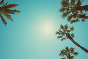 Naklejka premium Palm trees vintage color toned summer hot day perspective view with copy space