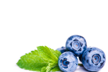 Fresh sweet blueberry fruit and leaf of mint.