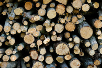 Wood logs firewood whole saw cut tree branches stacked pile drying for winter fireplace texture background