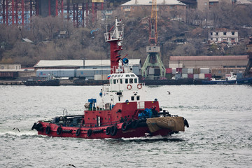 October, 2011 - Vladivostok, Primorye Territory - Sea boats - tugboats on the roads in the Golden...