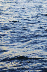波　青い水面