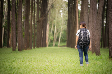Traveling woman with backpack In the beautiful pine forest at sunset.