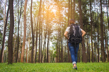 Traveling woman with backpack In the beautiful pine forest at sunset.