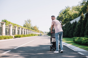 rear view of father walking with baby carriage in park