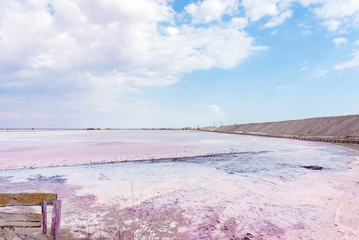 People gathering salt of pink salty Siwash Lake, colored by microalgae, famous for antioxidant...