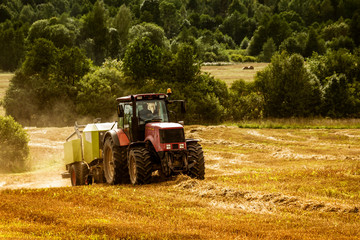 the tractor on the field collects straw into rolls