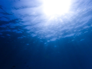 Obraz premium Underwater sunday background