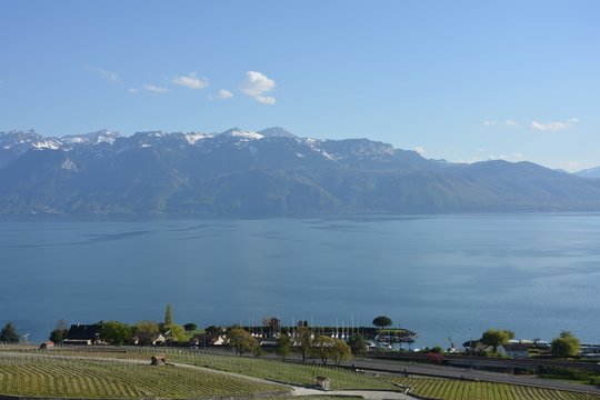 Vue sur Cully, le port