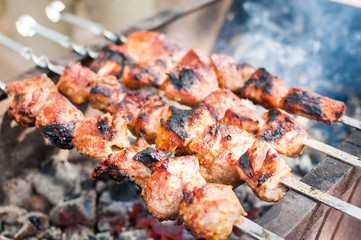 Grilled meat on skewers in the forest