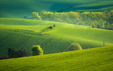 Moravian fields near Sardice, Hodonin, Czech Republic