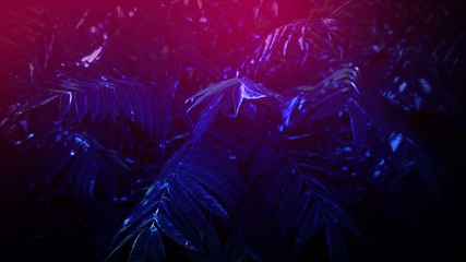 Tropical leaf with neon light