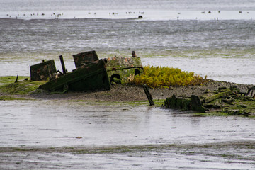 Fototapeta na wymiar Abandoned boat sinking into estuary mud