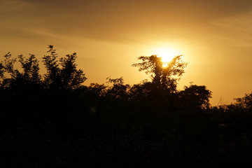 Gorgeous sunrise in Africa, Safari, Ethiopia.