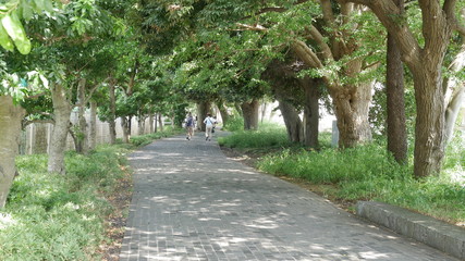 沼津市民文化センター（歩道）