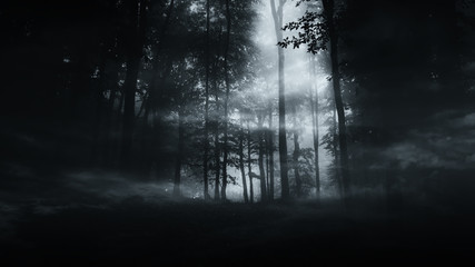 dark mysterious woods background