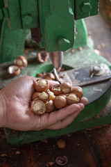 Shell cracker for cracking macadamia, open macadamia nut