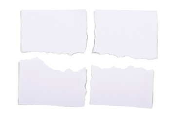 Ripped pieces of white paper