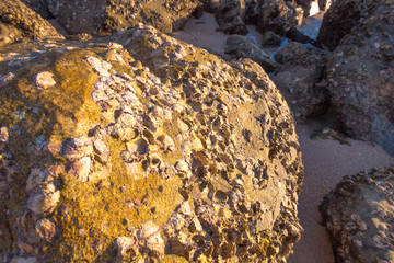 Big Stone or Rock