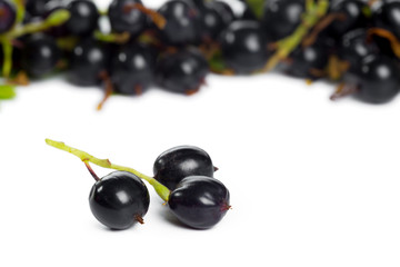 Berries black currant with green leaf. Fresh fruit, isolated on white background.