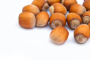 hazelnut heap isolated on white background.
