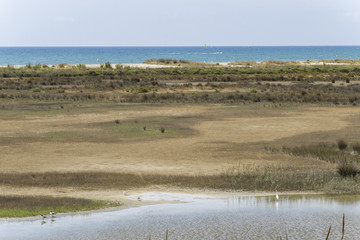 Paisaje que se contempla desde un mirador del delta del rio.