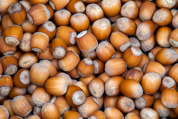 Hazelnuts. Stack of hazelnuts