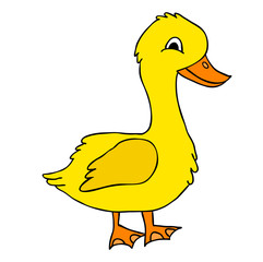goose character, isolated