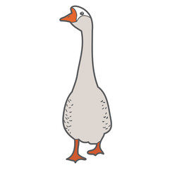 vector, goose, on white background