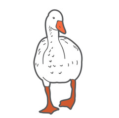 vector, isolated, duck, on white background
