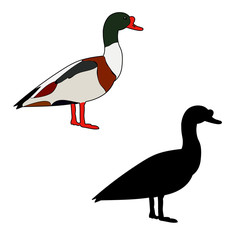 goose, duck silhouette