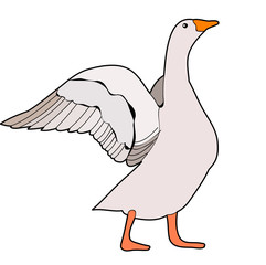 isolated goose, duck silhouette