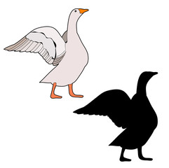  isolated silhouette goose, duck, icon on white background