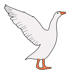 goose, on white background