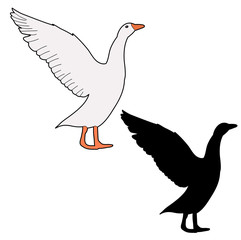 vector isolated goose, duck silhouette icon