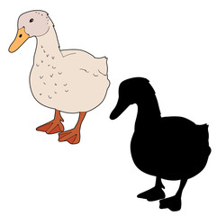 vector isolated goose, duck silhouette icon