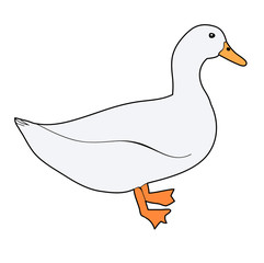  goose, duck on white background