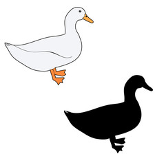 vector, isolated silhouette goose, duck, icon on white background