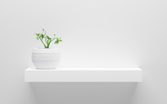 white shelf with green potted plant on wall with light from the top