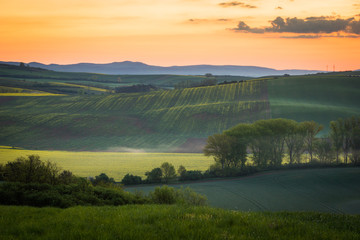 Naklejka na ściany i meble Dawn over the moravian fields near Sardice, Czech Republic