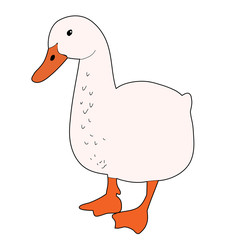 vector, isolated goose, duck on white background